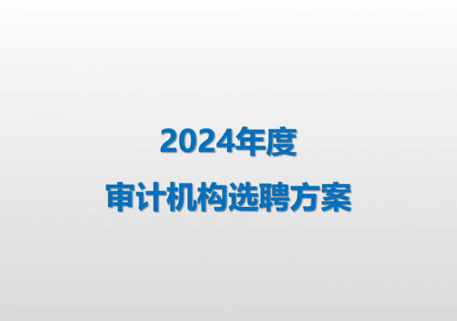 邦彥技術(shù)2024年度審計(jì)機(jī)構(gòu)選聘方案